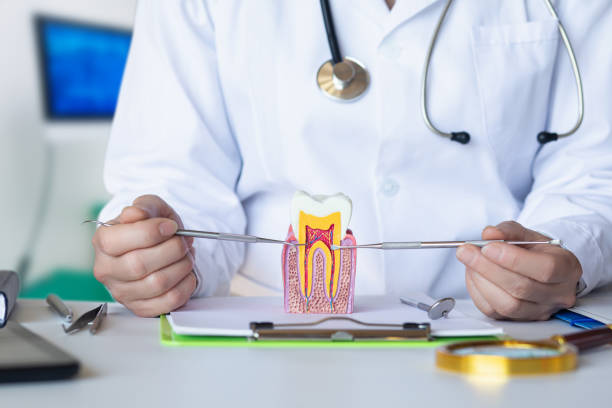 Best Emergency Dental Extractions in Granvle, IL